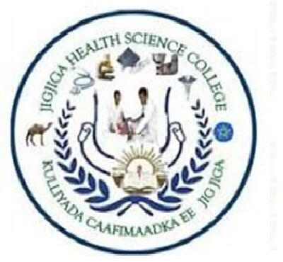 Partner-Health