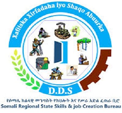 Partner-Jigjiga-Skill